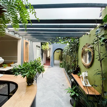 Casa Pánuco-3